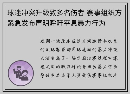 球迷冲突升级致多名伤者 赛事组织方紧急发布声明呼吁平息暴力行为